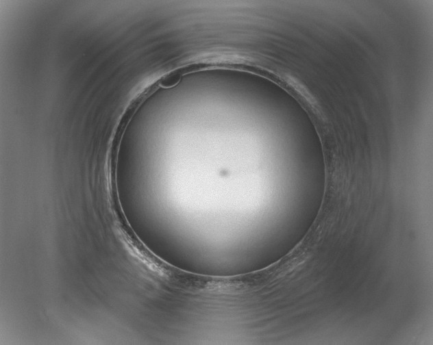 X0000078230840200611101007