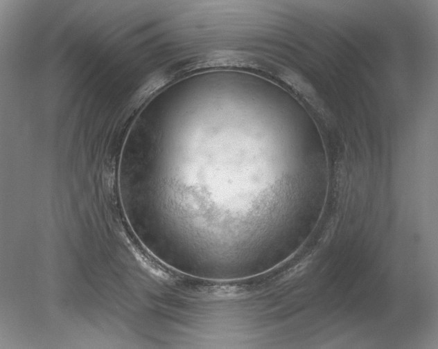 X0000078230841200611101007