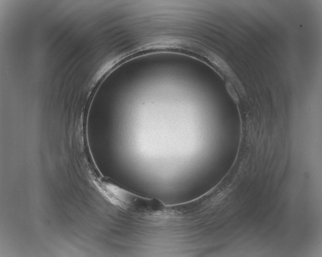 X0000078230842200611101007