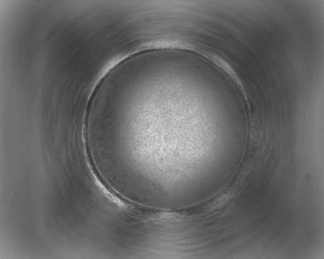 X0000078230847200611101007