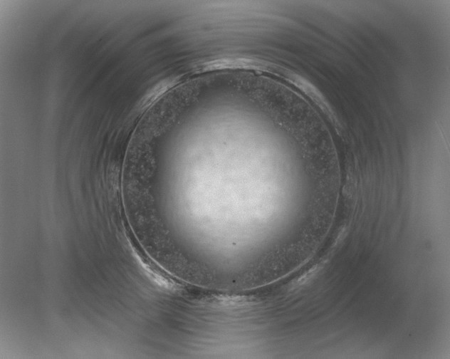 X0000078230849200611101007