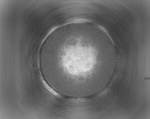 X0000078230851200611101007