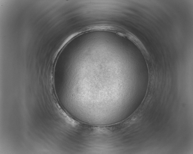 X0000078230852200611101007