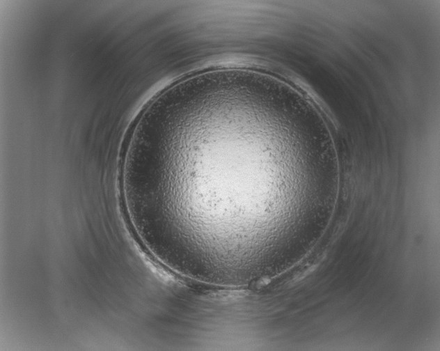 X0000078230853200611101007