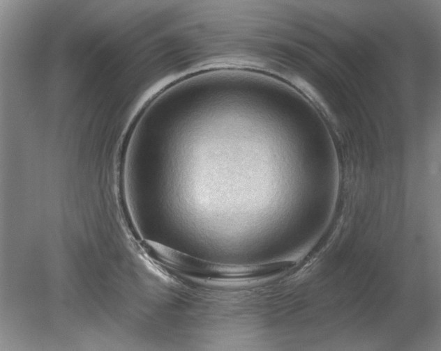 X0000078230854200611101007