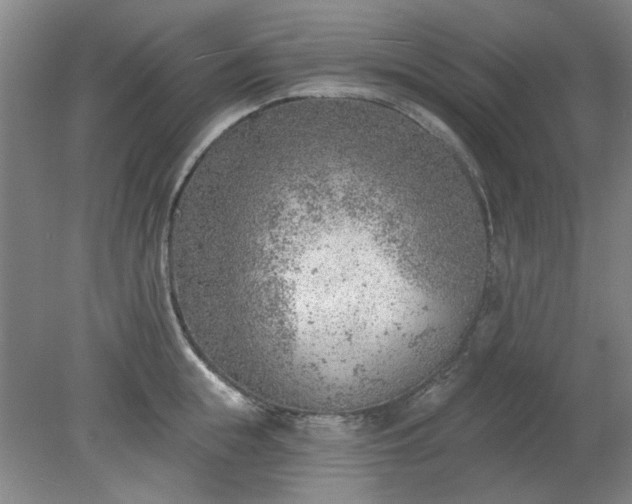 X0000078230855200611101008