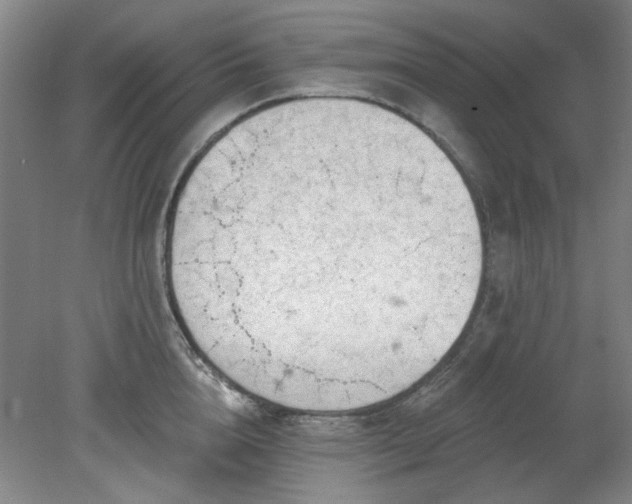 X0000078230856200611101008