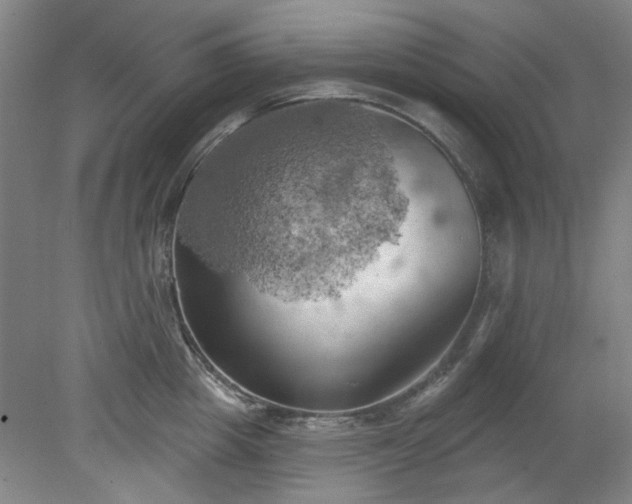 X0000078230857200611101008