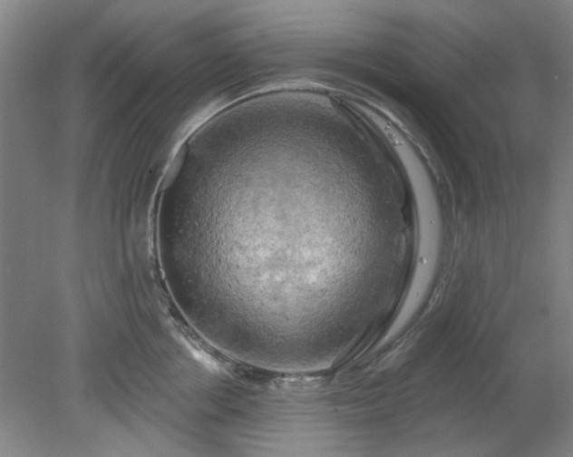 X0000078230858200611101008