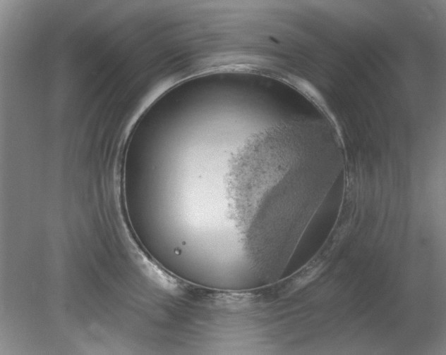 X0000078230859200611101008