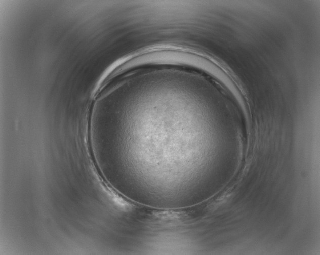 X0000078230862200611101008