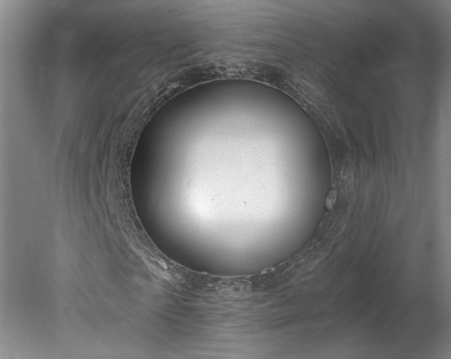 X0000078230865200611101007