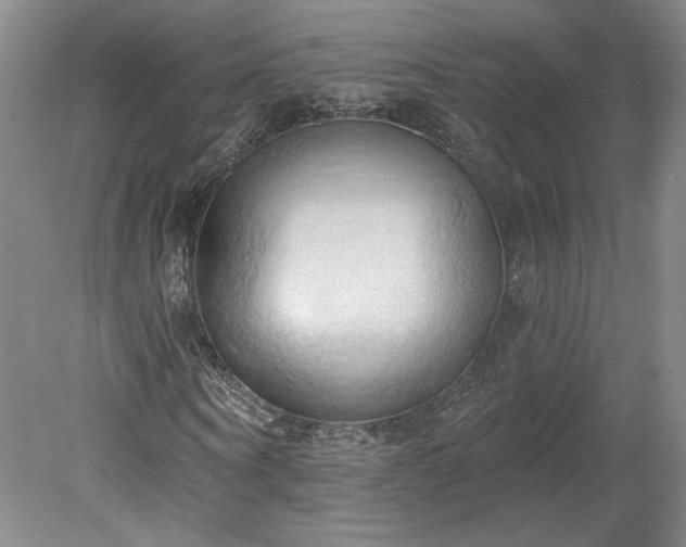 X0000078230866200611101007