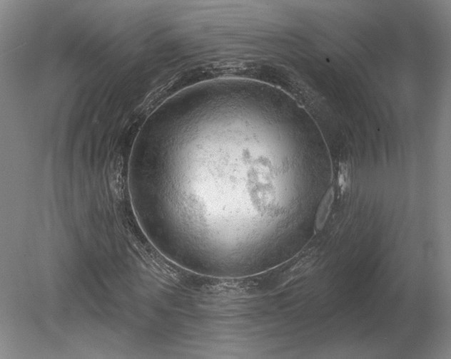 X0000078230867200611101007