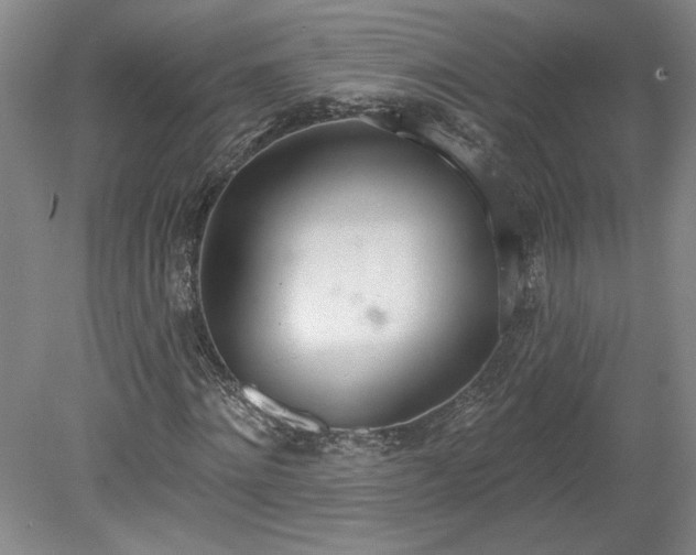 X0000078230868200611101007