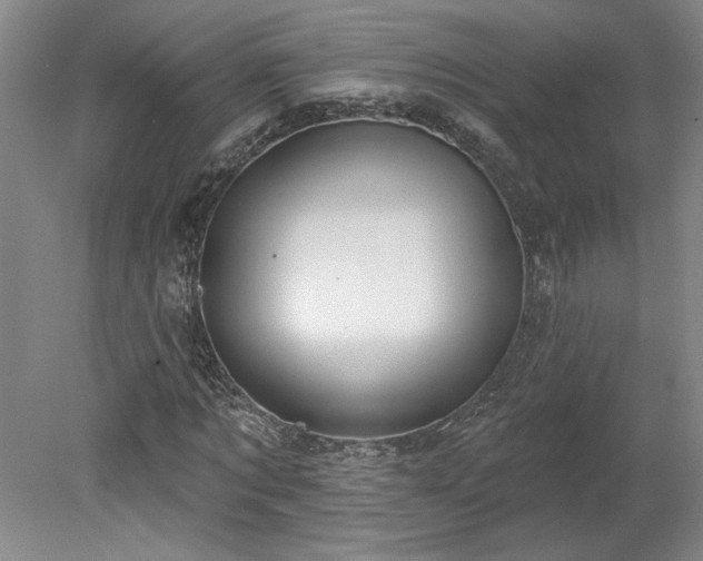 X0000078230869200611101007