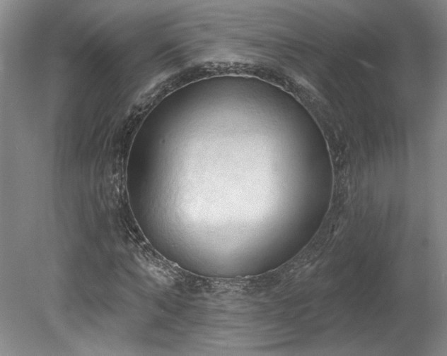 X0000078230870200611101007