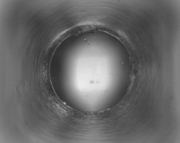 X0000078230872200611101007