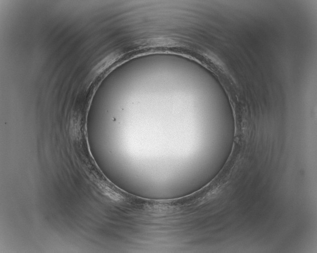 X0000078230873200611101007