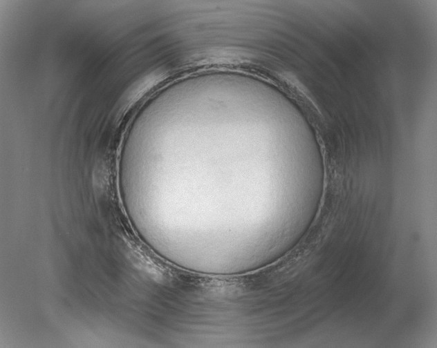 X0000078230874200611101007