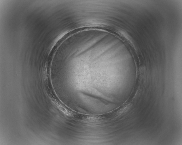 X0000078230875200611101007