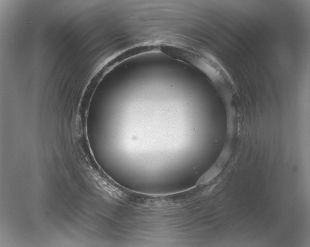 X0000078230876200611101007