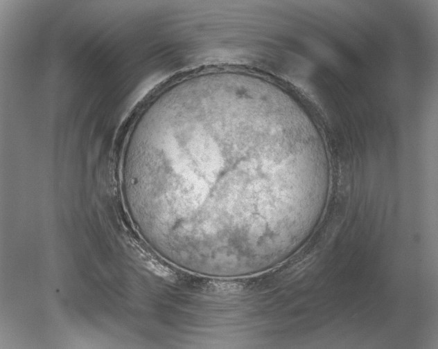 X0000078230878200611101007