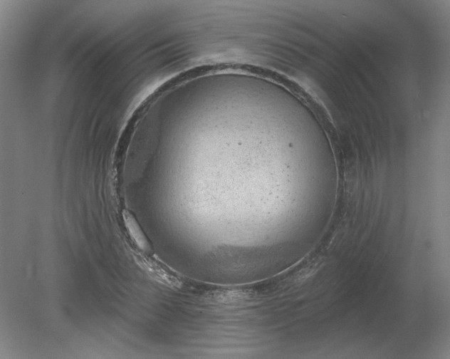 X0000078230879200611101007