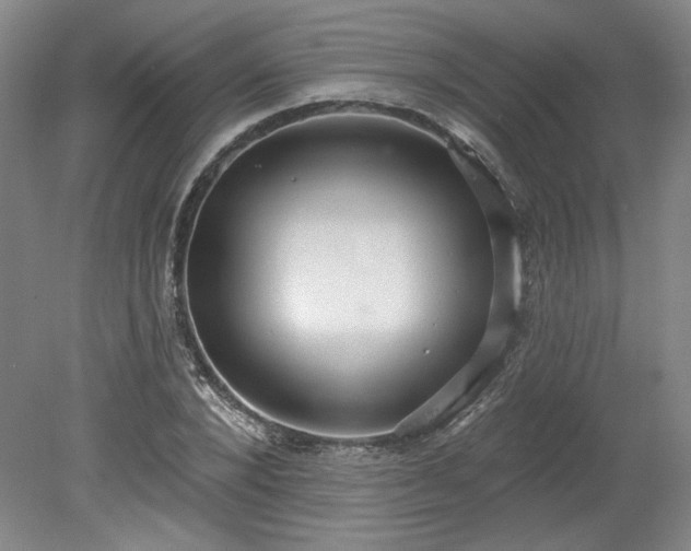 X0000078230880200611101007