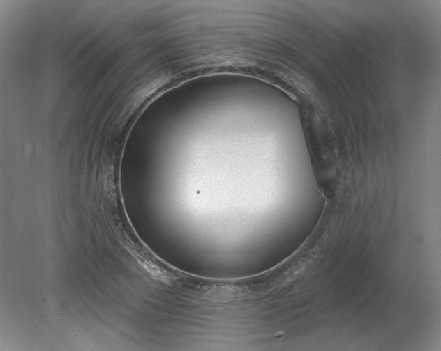 X0000078230881200611101007