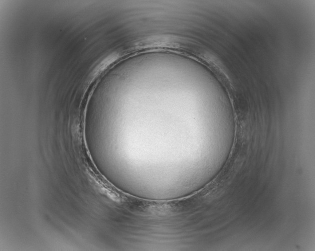 X0000078230882200611101007