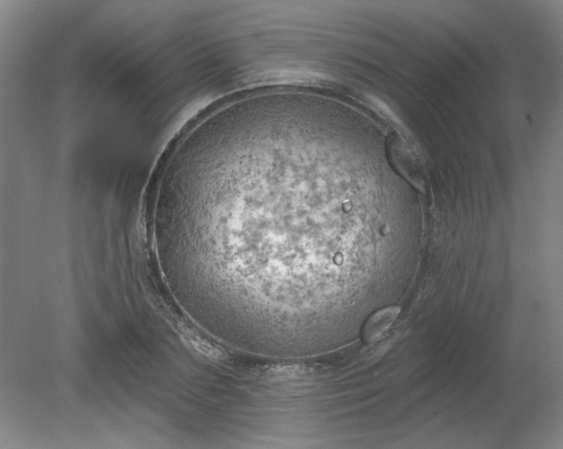 X0000078230883200611101007