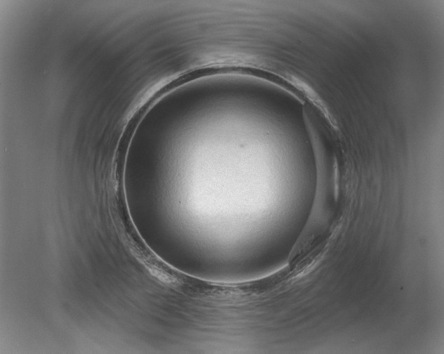 X0000078230885200611101007