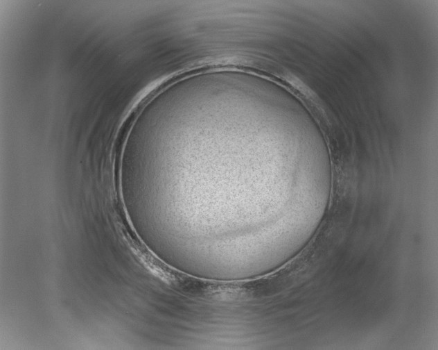 X0000078230886200611101007