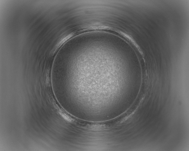 X0000078230889200611101006