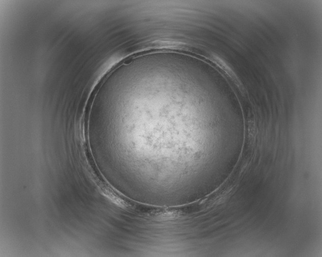 X0000078230891200611101006