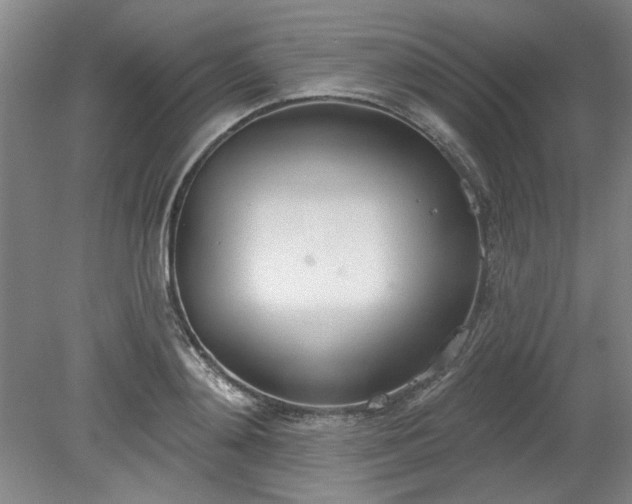 X0000078230892200611101006