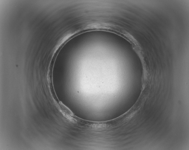 X0000078230893200611101006