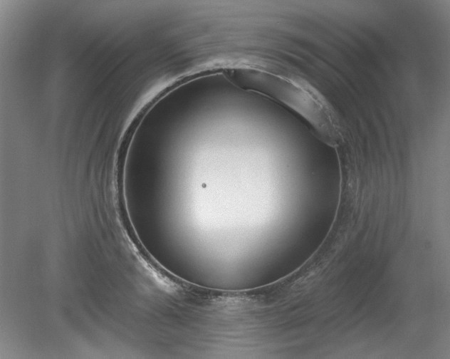 X0000078230894200611101006