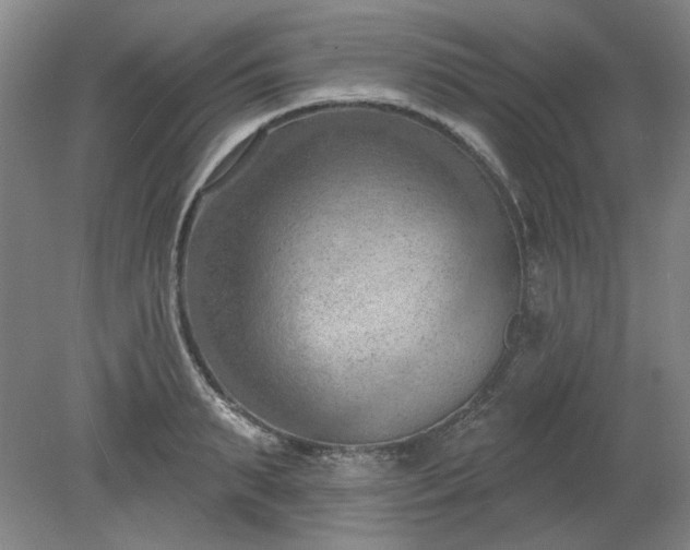 X0000078230895200611101006