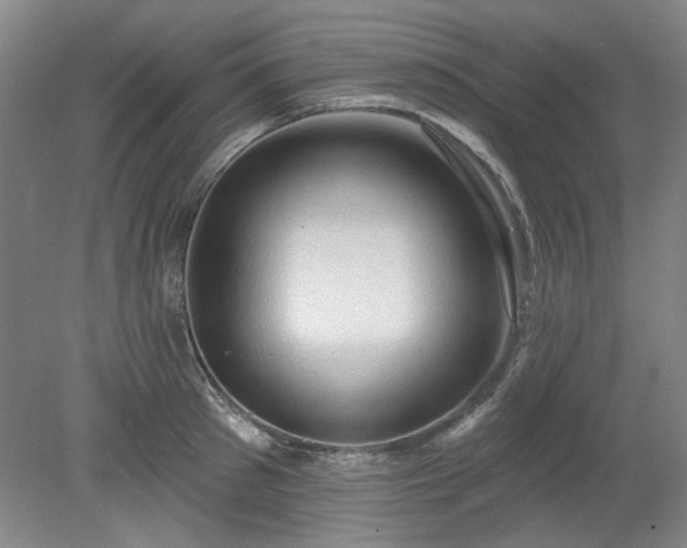 X0000078230897200611101006