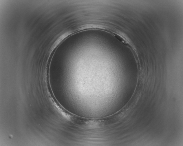 X0000078230898200611101006