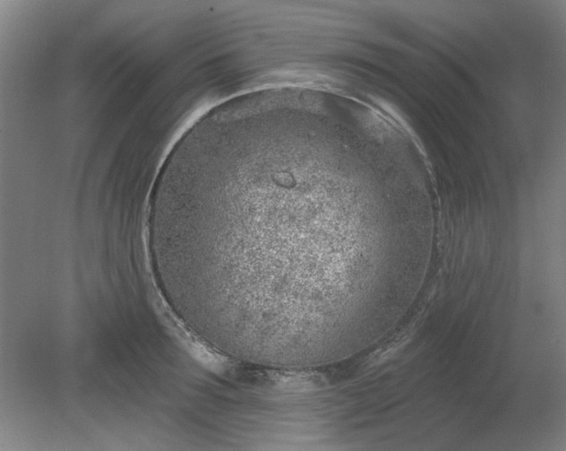 X0000078230899200611101006