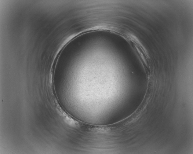 X0000078230900200611101006