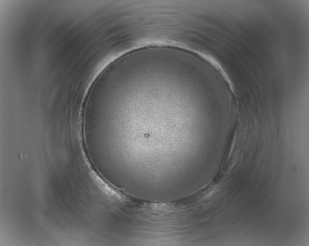 X0000078230903200611101006