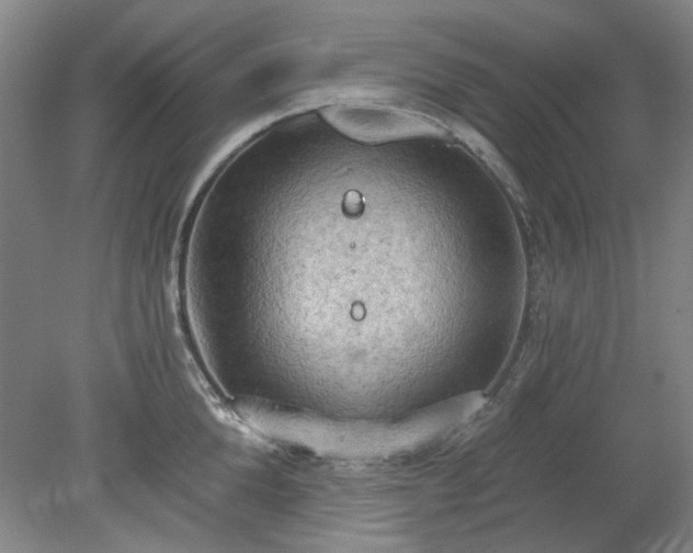 X0000078230904200611101006