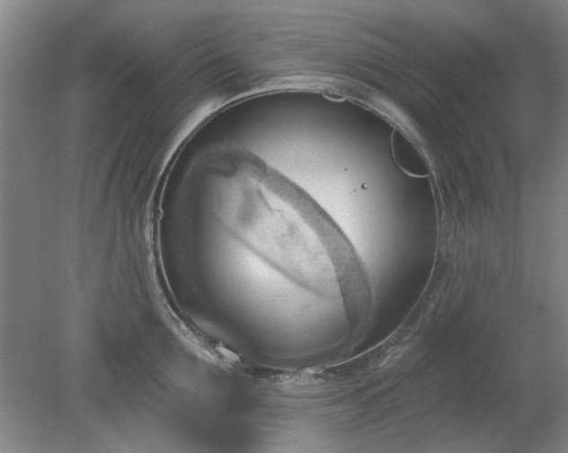 X0000078230907200611101006