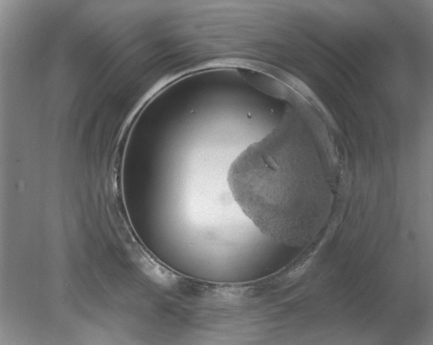 X0000078230908200611101006