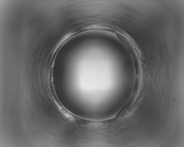 X0000078230909200611101006