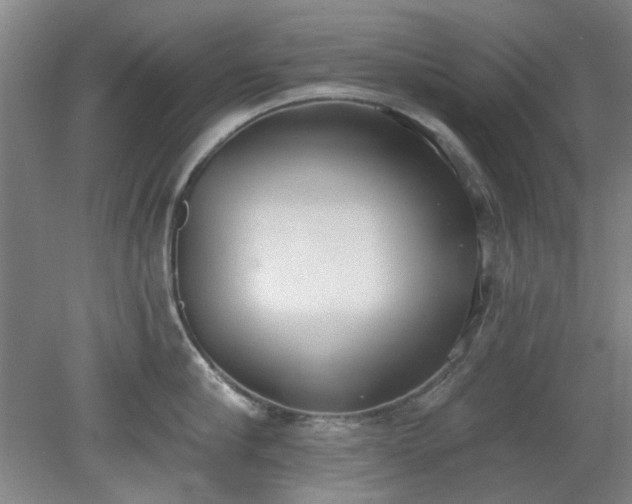 X0000078230910200611101006